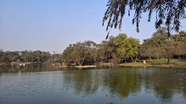 Nehir ve göleti olan güzel bir manzara.