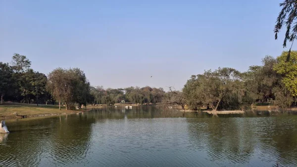 Nehir ve gölü olan güzel bir manzara.