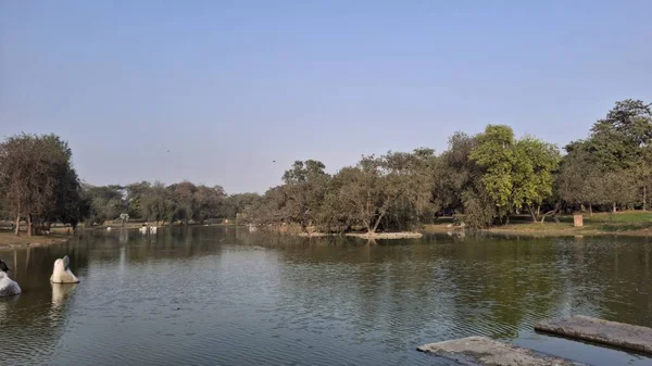 Göl ve ağaçlarla dolu güzel bir manzara