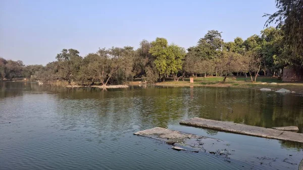 Parktaki gölün güzel manzarası