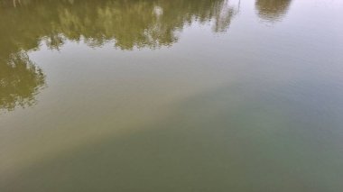 Yazın göl insansız hava aracı görüntüsü