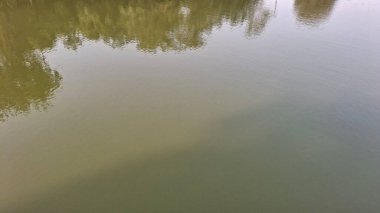 Şehirdeki nehrin güzel manzarası