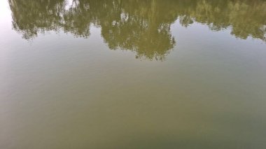 Güzel göl manzarası