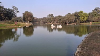 Parktaki güzel göl manzarası