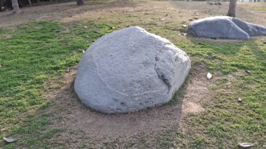 Parktaki bir taşın yakın plan çekimi.