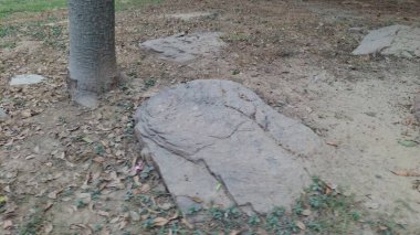 Taş duvar dokusu arkaplanı