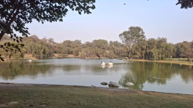 Sabah göl manzarası çok güzel.