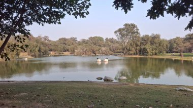 Parkta göleti olan güzel bir manzara.