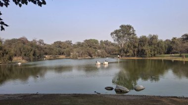 Şehir parkının güzel manzarası
