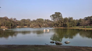 Güzel nehrin manzarası