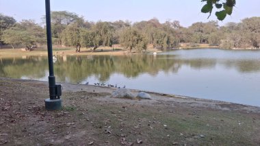 Parkın güzel manzarası