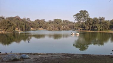 Göllü güzel bir manzara.