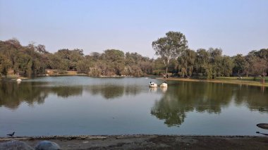 Parktaki göl manzarası