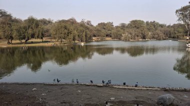 Parktaki gölün güzel manzarası