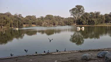 Parktaki gölün güzel manzarası