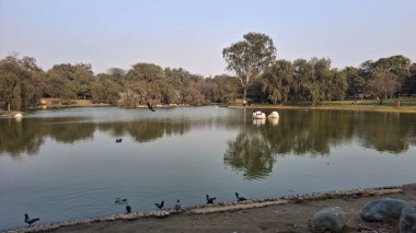 Gölünde bir nehir olan güzel bir manzara.