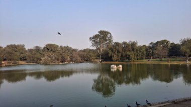Parktaki gölün güzel manzarası