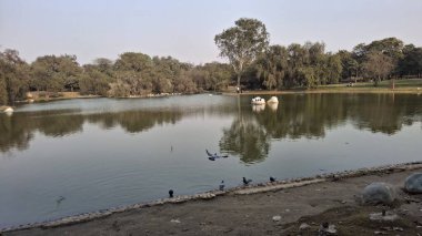 Parktaki göl manzarası çok güzel.