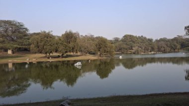 Parktaki gölün güzel manzarası