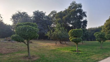 Parkın güzel manzarası