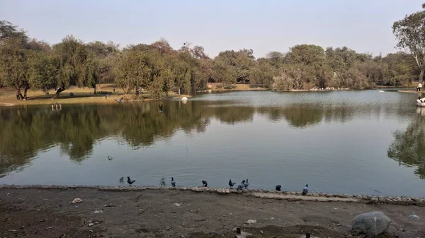 Parktaki gölün güzel manzarası