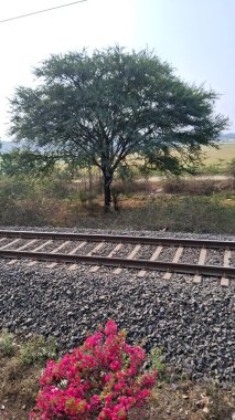 Yoldaki demiryolu rayları