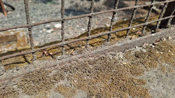 Parktaki eski paslı çit.