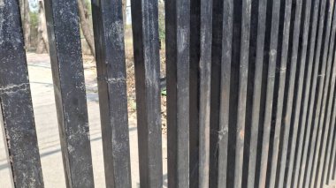 Eski paslı metal çitler, bir sürü çimen.