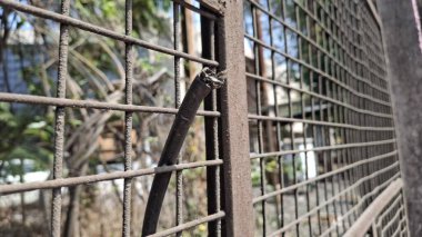 Parktaki metal çitler.