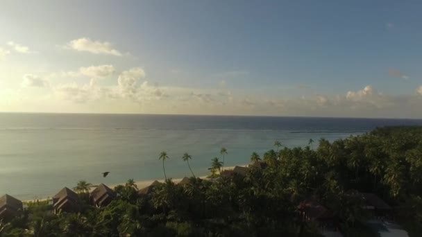 Voando acima da ilha das Maldivas — Vídeo de Stock