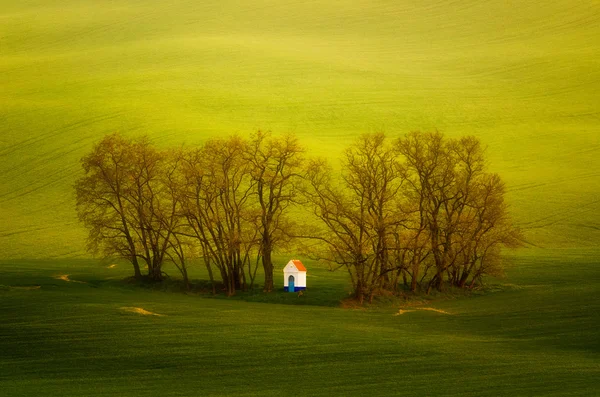 Chapel in trees — Stock Photo, Image