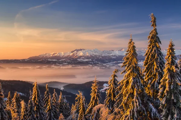 Tatry od Turbacz — Stock fotografie