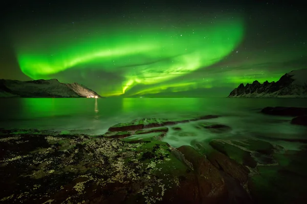 Aurora Tugeneset Rotsachtige Kust Met Okshornan Bergen Achtergrond Senja Noorwegen — Stockfoto