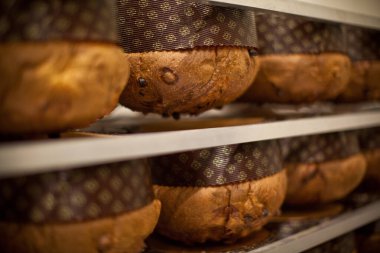 Fırından yeni çıkmış panettone, uzun kubbeli şeklini korumak için baş aşağı asılı duruyor. Yumuşak hava yapısını korumak için kullanılan geleneksel bir İtalyan hamur işi tekniği..