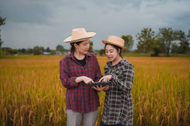 İki Asyalı toprak bilimci pirinç tarlalarındaki tabletleri kullanarak akıllı tarım ve modern tarım teknolojilerini gösteren araştırmalar yapıyor..