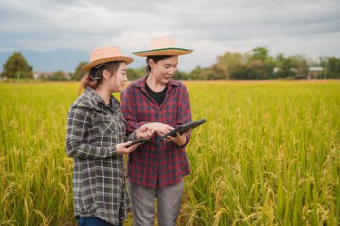 İki Asyalı toprak bilimci pirinç tarlalarındaki tabletleri kullanarak akıllı tarım ve modern tarım teknolojilerini gösteren araştırmalar yapıyor..