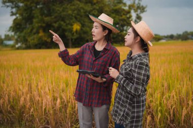 İki Asyalı toprak bilimci pirinç tarlalarındaki tabletleri kullanarak akıllı tarım ve modern tarım teknolojilerini gösteren araştırmalar yapıyor..