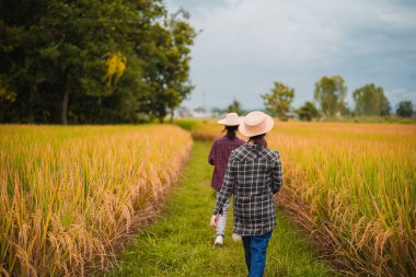 İki Asyalı toprak bilimci pirinç tarlalarındaki tabletleri kullanarak akıllı tarım ve modern tarım teknolojilerini gösteren araştırmalar yapıyor..