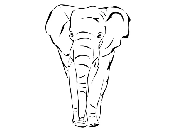 Grote olifant silhouet — Stockvector