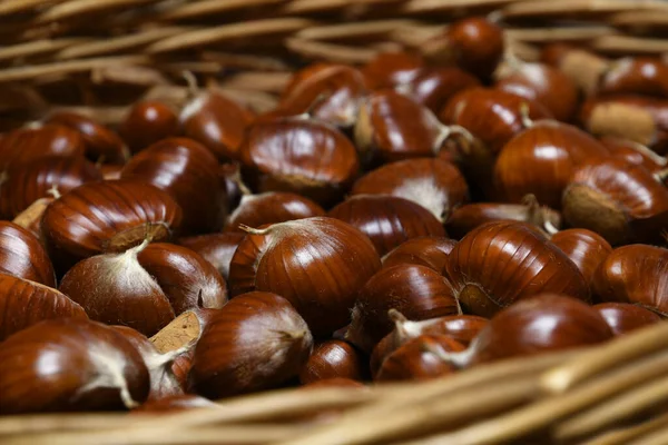 Freshly Picked Chestnuts Wicker Basket — Stock Photo, Image