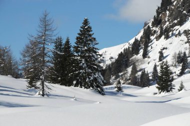 Val di Fiemme 'deki San Pellegrino Geçidi' nin güzel karlı kış manzarası. İtalya 'da Güney Tirol.