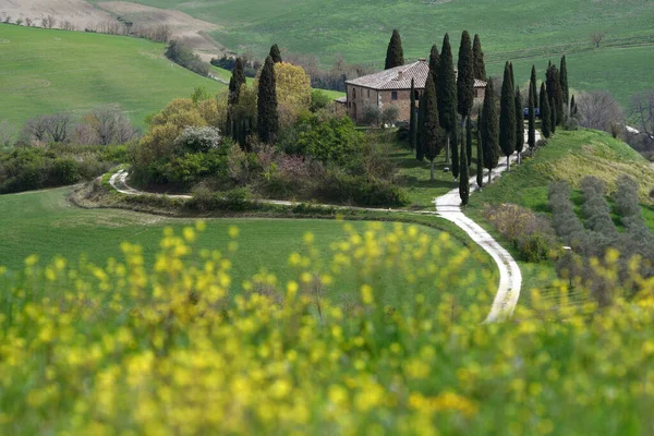 Pienza Italia Abril 2021 Podere Belvedere Primavera Corazón Toscana Val — Foto de Stock