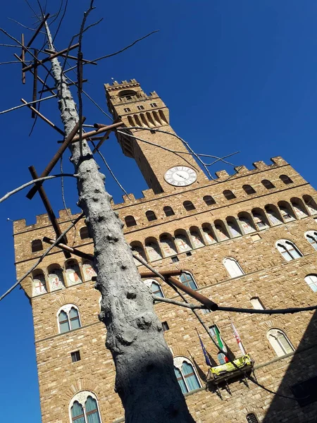 Florence April 2021 Gigantic Metallic Fir Tree Dominates Signoria Square — Stock Photo, Image