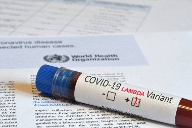 Floransa, Ağustos 2021: Covid-19 Lambda Variant virüsünün tespiti için kan tüpü WHO logosunun bulunduğu belge üzerinde olumlu sonuç verdi.