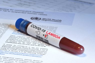 Floransa, Ağustos 2021: Covid-19 Lambda Variant virüsünün tespiti için kan tüpü WHO logosunun bulunduğu belge üzerinde olumlu sonuç verdi.