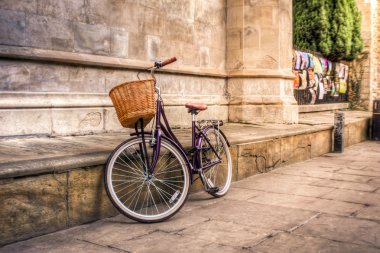 Mor Vintage Bisiklet