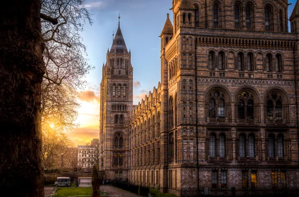 Das Naturkundemuseum — Stockfoto