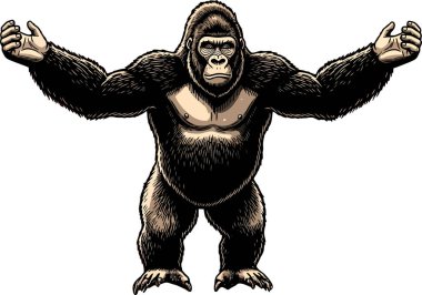 Siyah goril, kollarını beyaz arka plana doğru uzatarak dik duruyor. Eğitici ve vahşi yaşam temalı içerik için mükemmel, cesur ve çekici bir görüntü oluşturuyor..