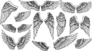 Detaylı, elle çizilmiş, robot resim tarzında çeşitli melek kanadı çizimleri. Temiz beyaz arkaplanda izole edilmiş, tasarım elementleri için mükemmel..
