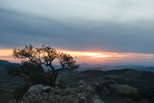 Manzara il Ifrane gün batımında, Fas